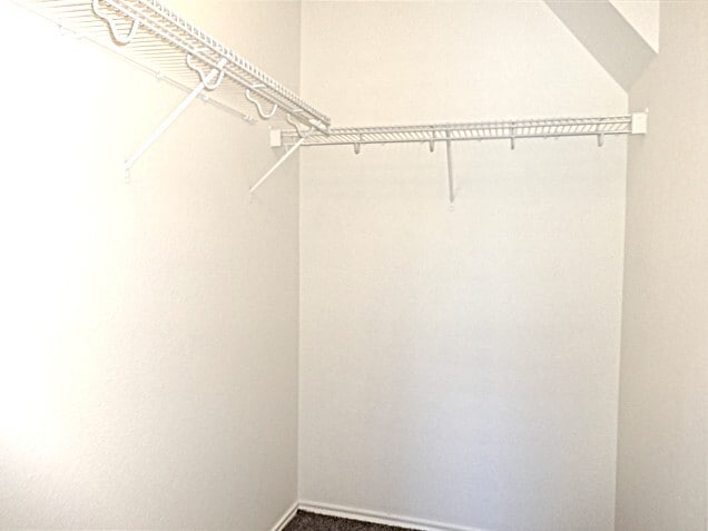 Building Photo - 9510 Narnia Springs Ct