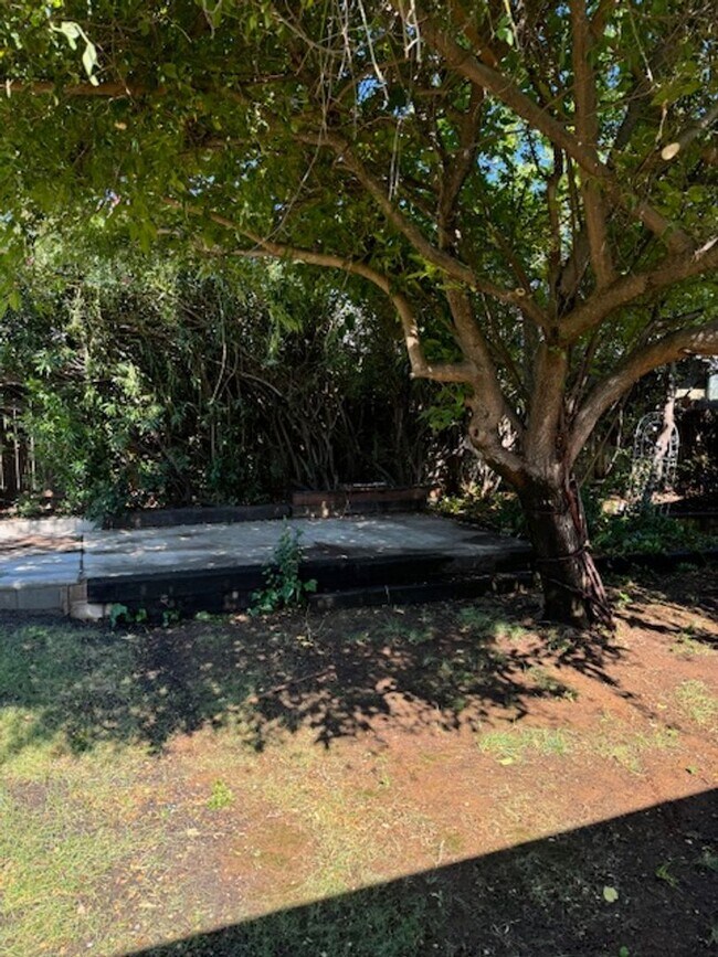 Building Photo - Lake Forest Estates Home Close to Shopping...