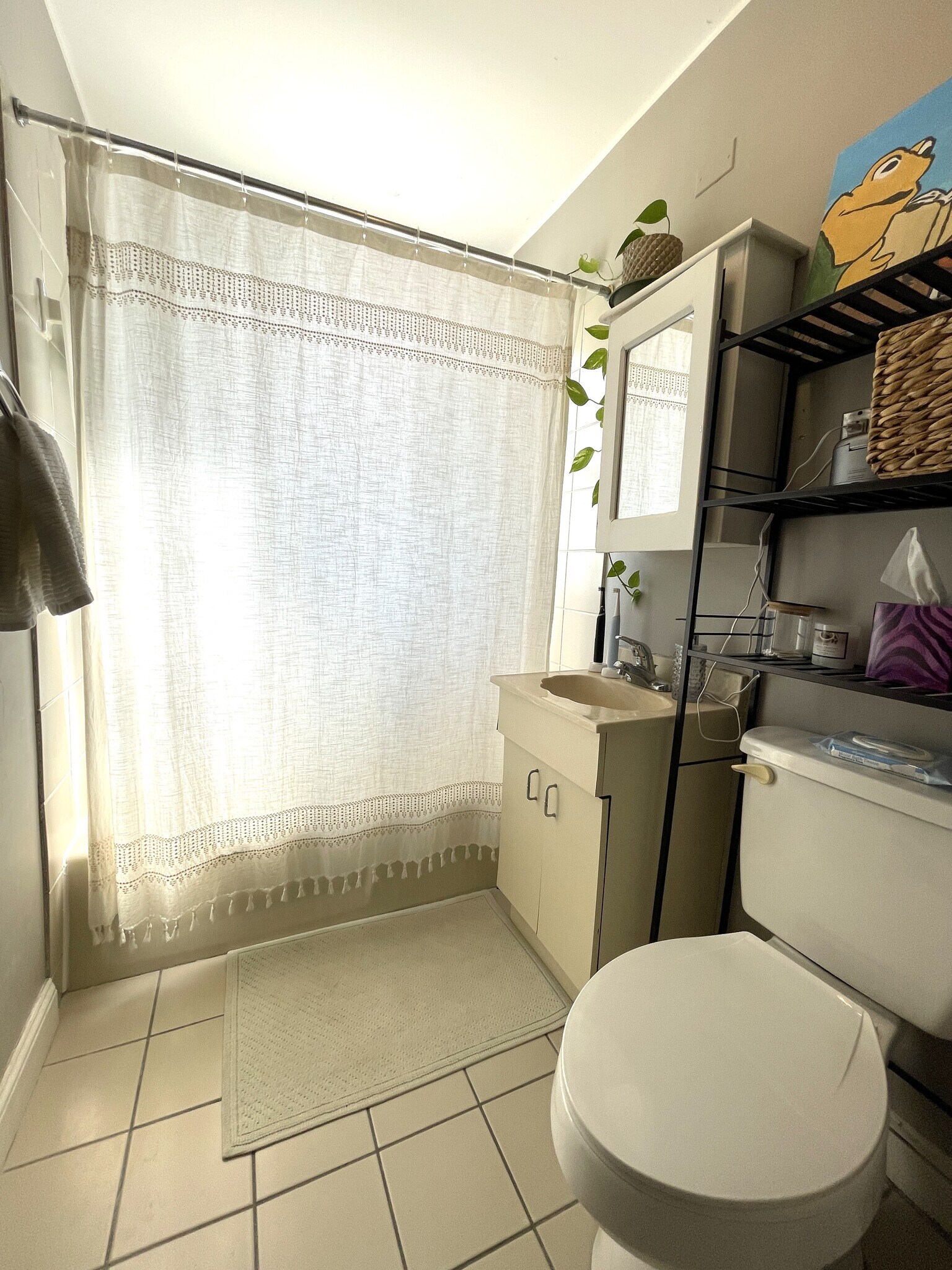 Building Photo - 374 Chestnut Hill Ave