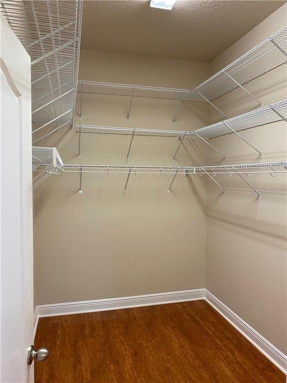 Building Photo - 11333 Quiet Forest Dr