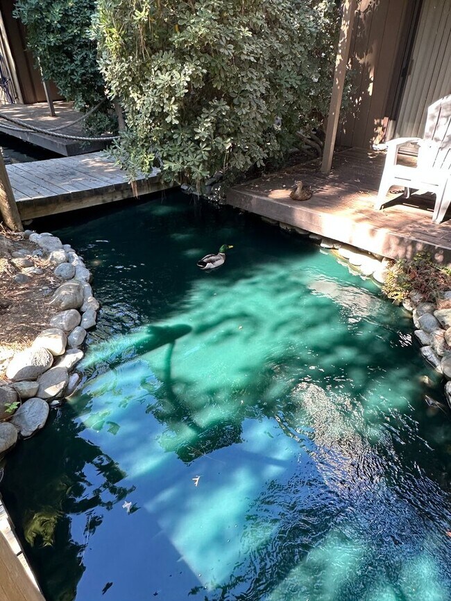 Building Photo - Cute and Cozy 1 Bedroom Condo in Gated Tim...