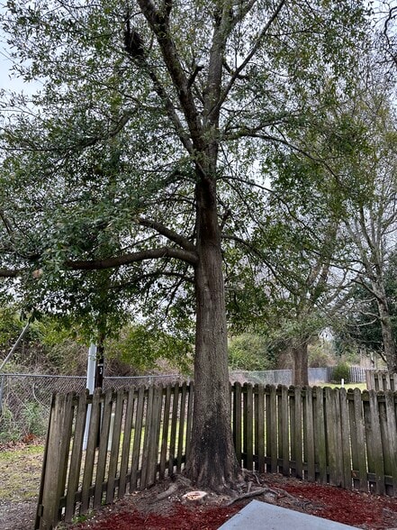 Patio - 106 Lullwater Dr