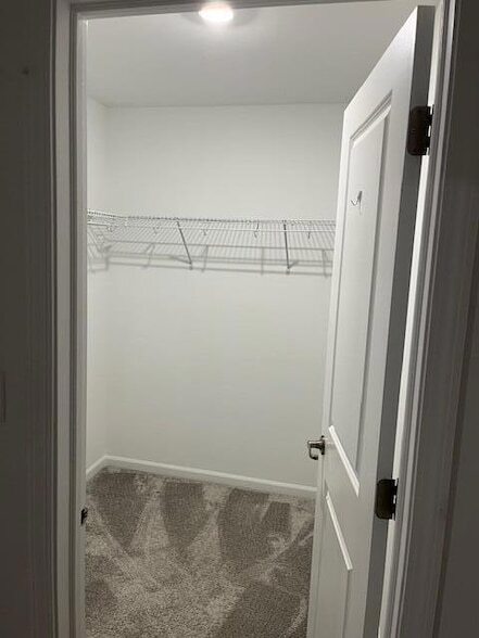 Building Photo - 3909 Iron Gate Dr