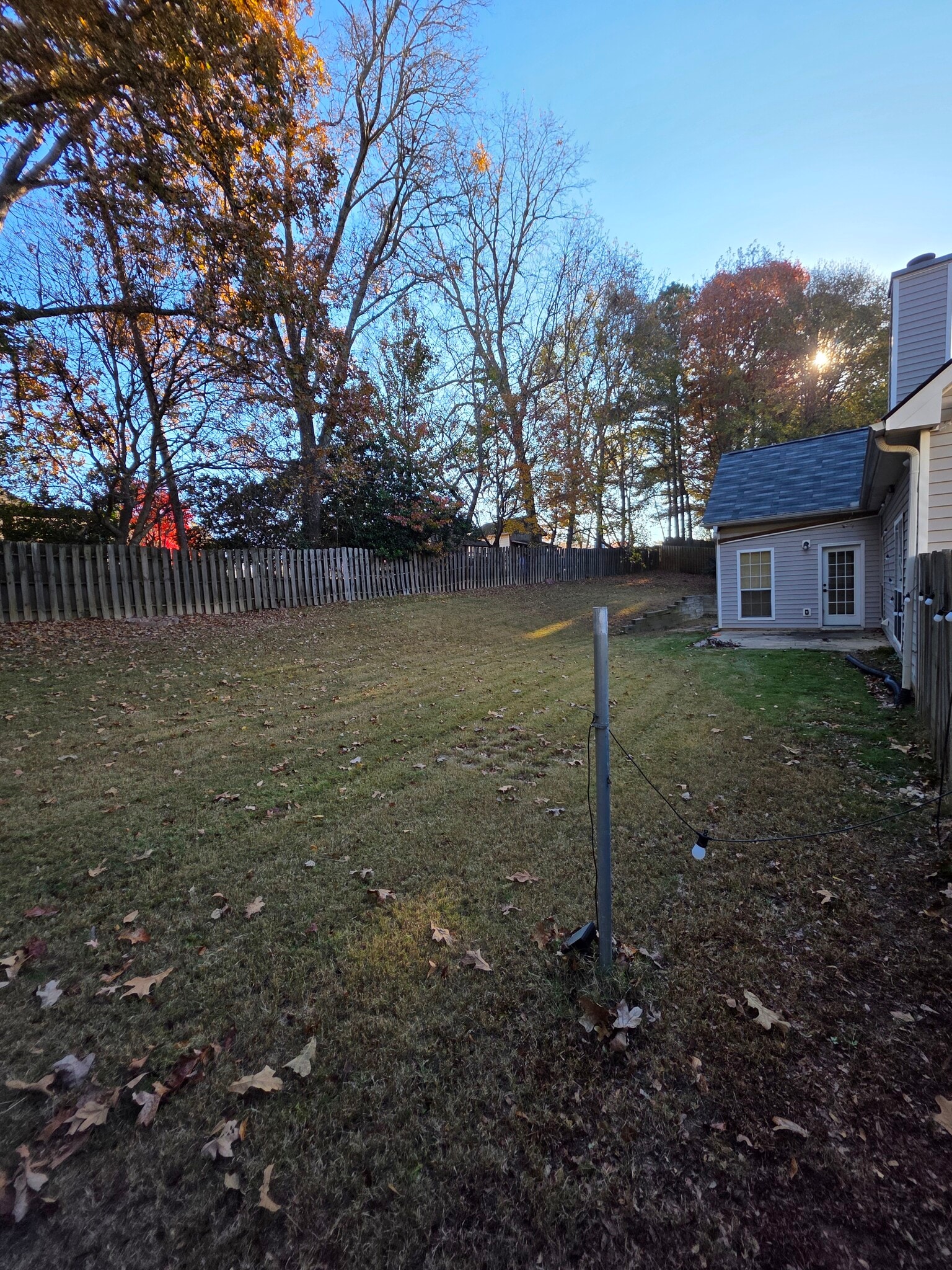 Backyard - 2356 Hampton Park Dr