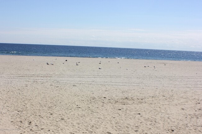 Building Photo - 99 Steiner Ave