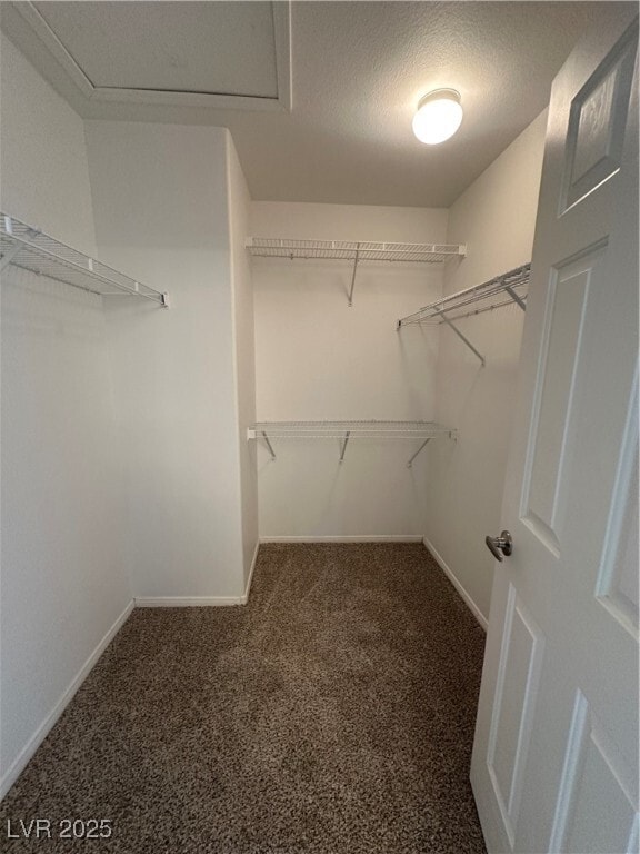 Building Photo - 1236 Sonatina Dr