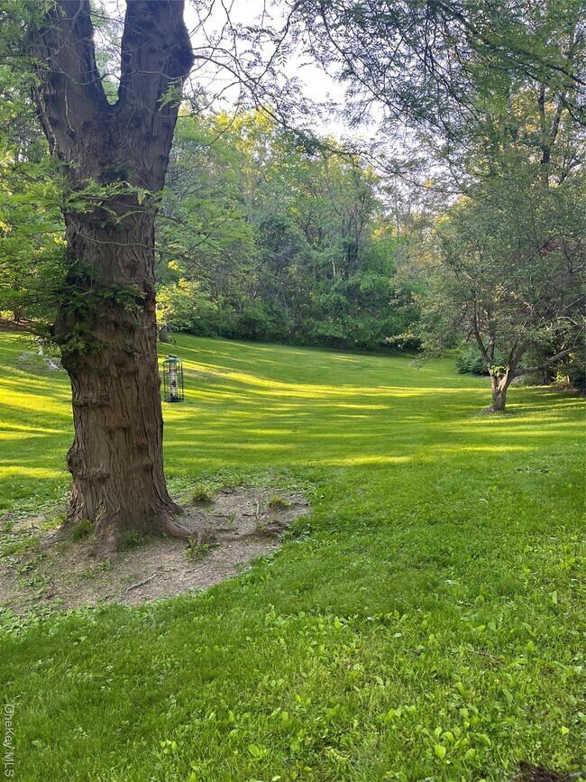 Building Photo - 43 McManus Terrace