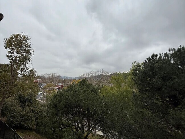 Building Photo - 2696 Escala Cir