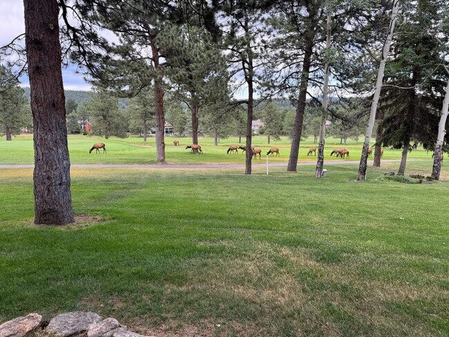 Building Photo - Spacious 4BR Condo in Evergreen