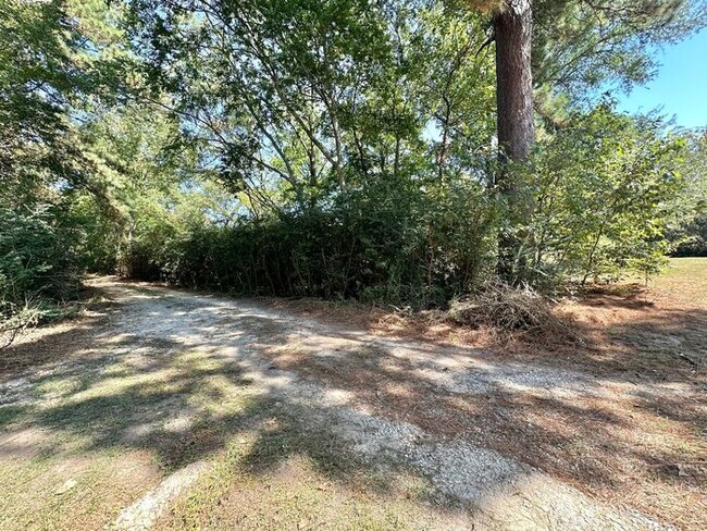 Building Photo - Tour Today! 3 Bed 1 Bath on 3 Acres with a...