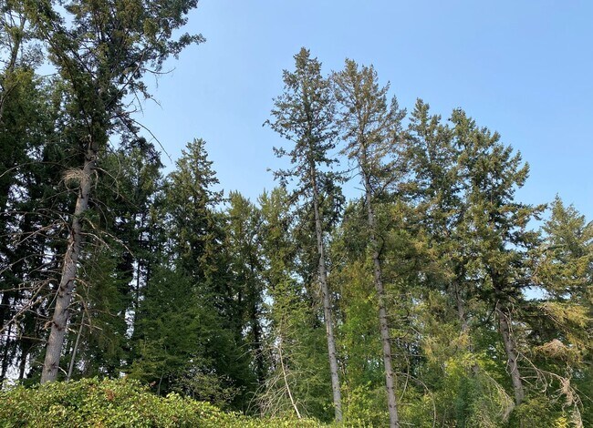 Building Photo - NEWER CONSTRUCTION! Beautiful Brand Home B...