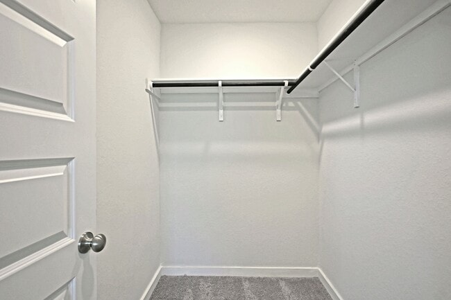 Building Photo - 2561 Solon Ln