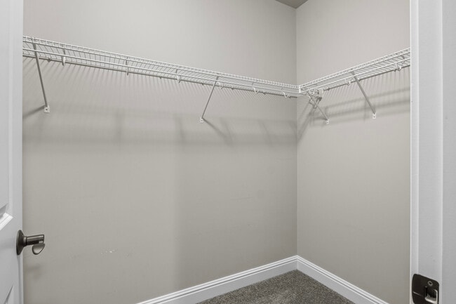 Building Photo - 3688 Horsemint Trail