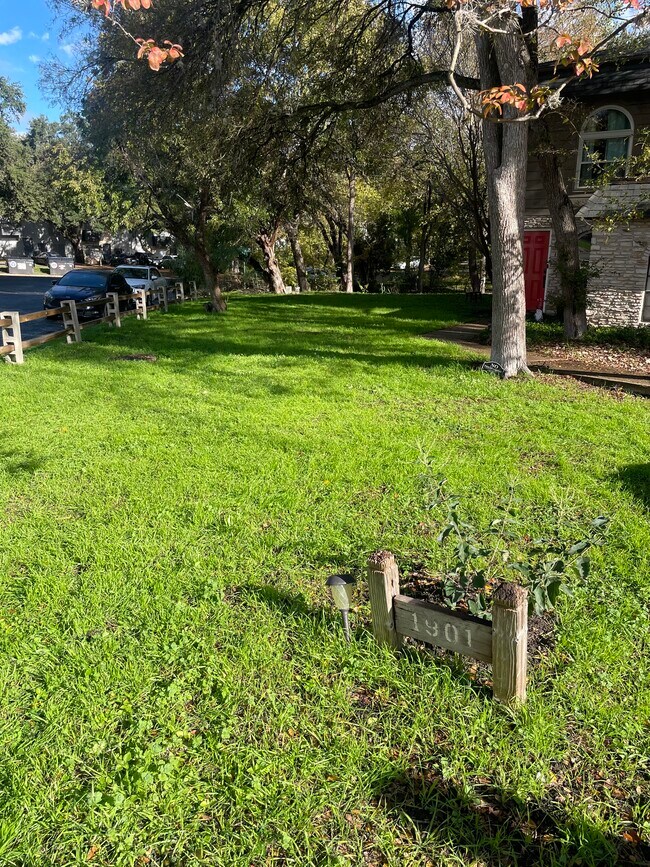 common area lawn - 1901 Glen Allen St