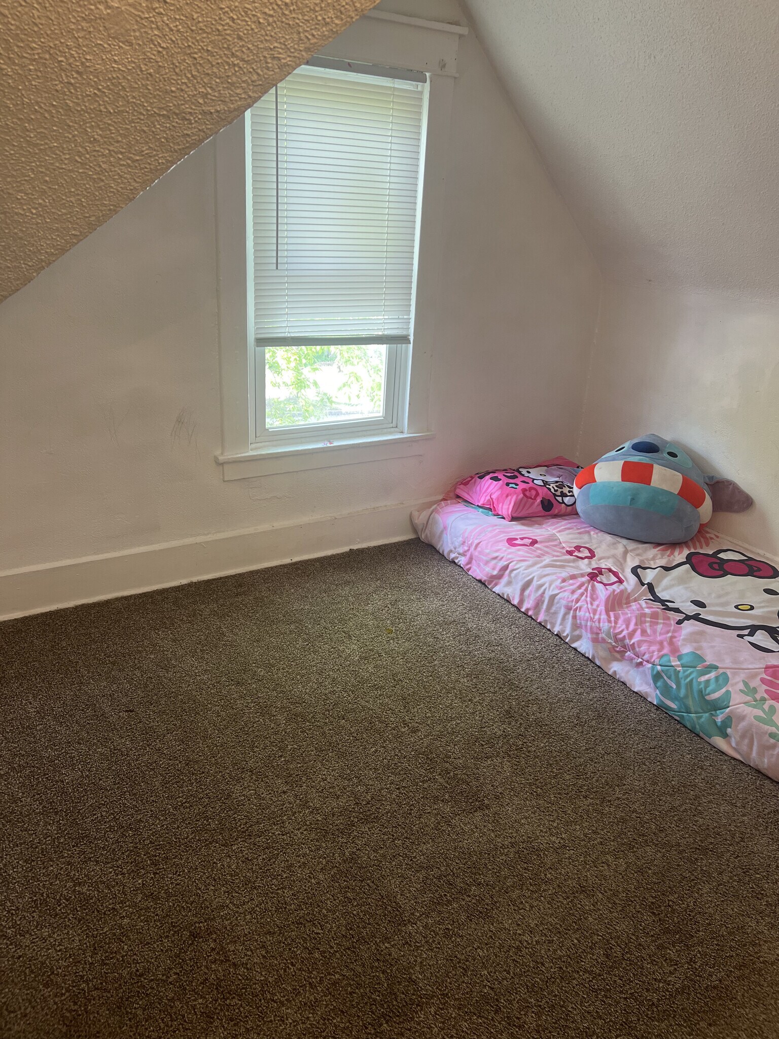 Building Photo - 1113 6th St E