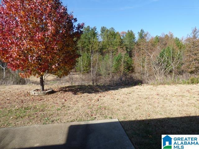 Building Photo - 4124 Old Cahaba Pkwy