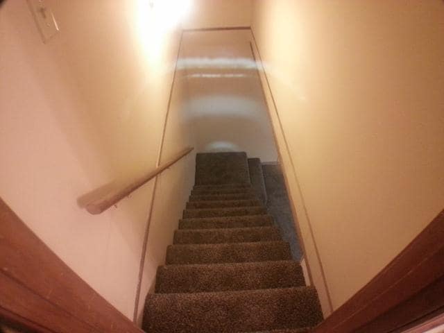 Building Photo - Charming 3 Bedroom / 2 Bath with Finished Basement!