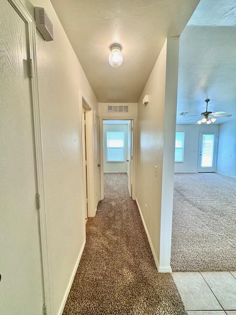 Building Photo - 2500 Flame Lily Rd