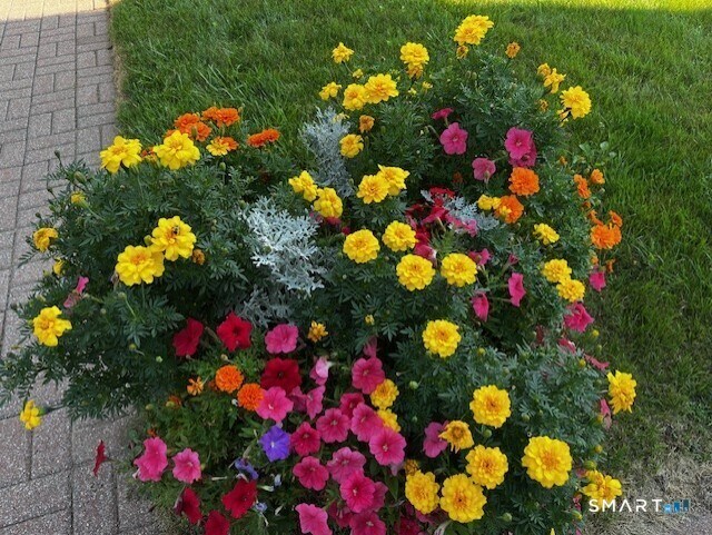 Building Photo - 44 Glenrock