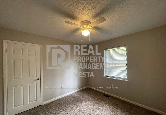 Building Photo - 531 Bristle Cone Dr