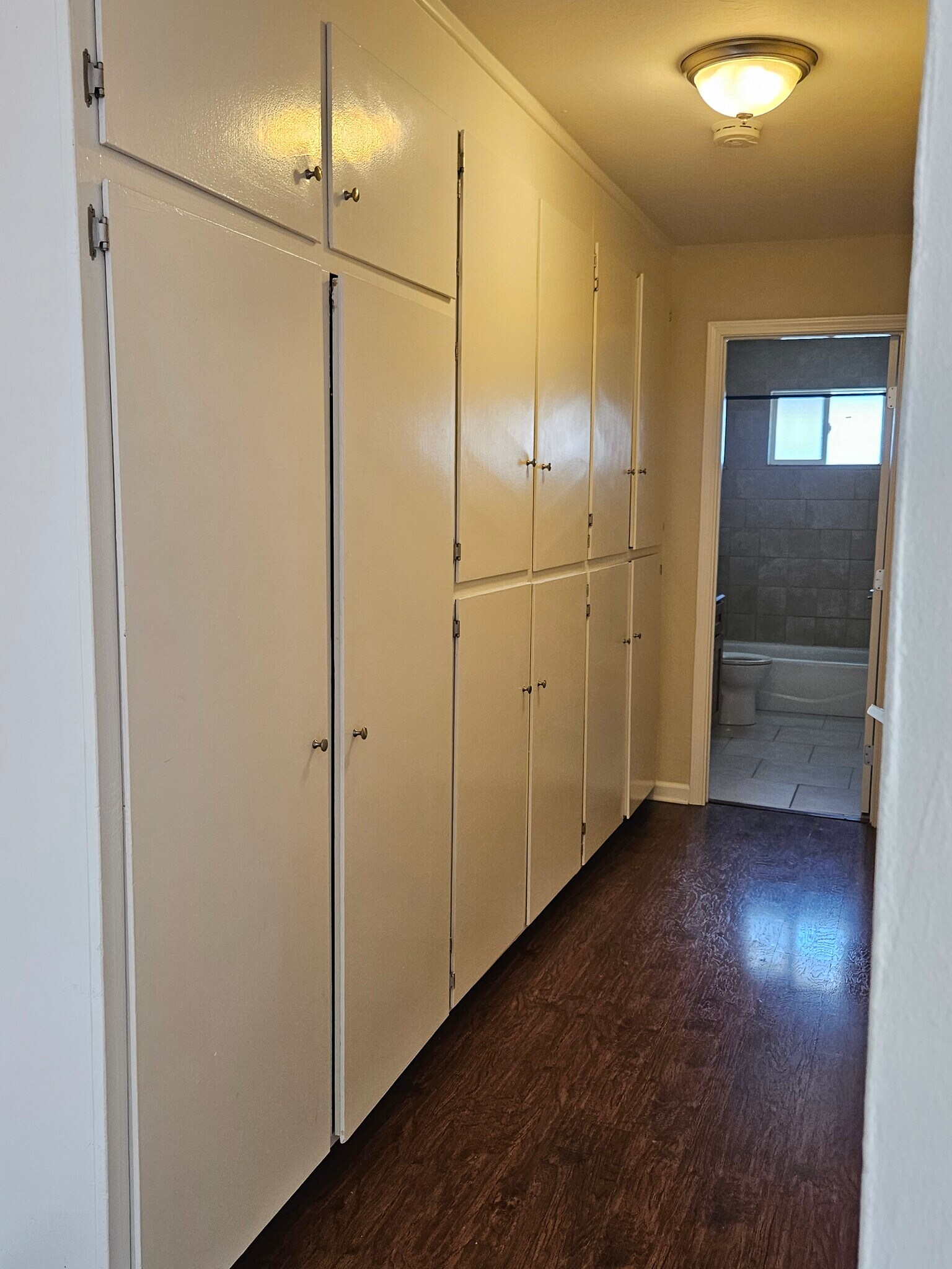 Hallway storage - 874 Castlewood Dr