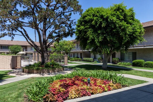 Courtyard - La Paz Apartments