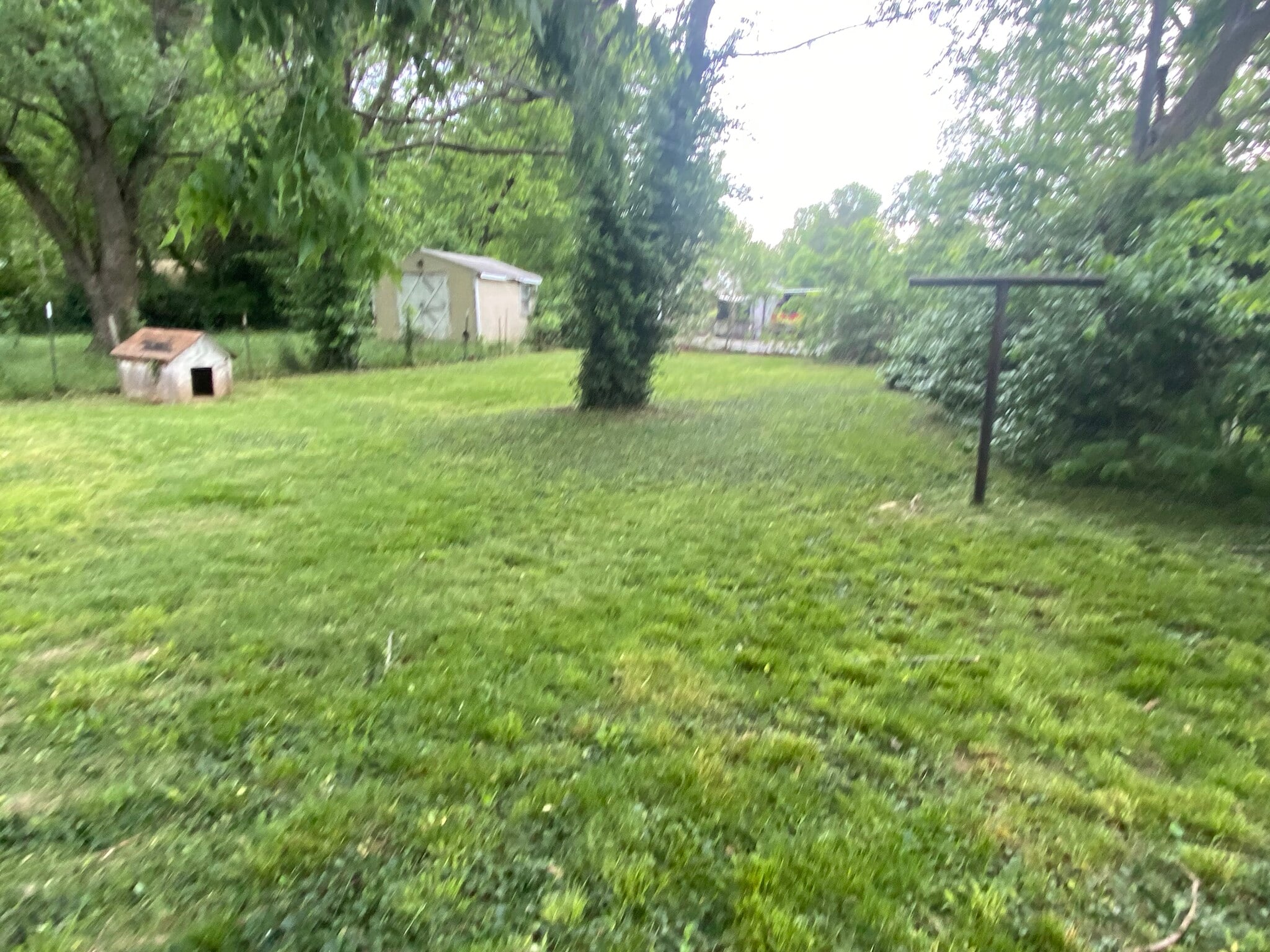 Fenced Back Yard - 1315 W Poplar St