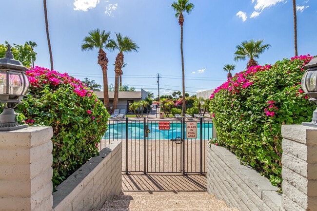 Building Photo - Spacious PHX Condo