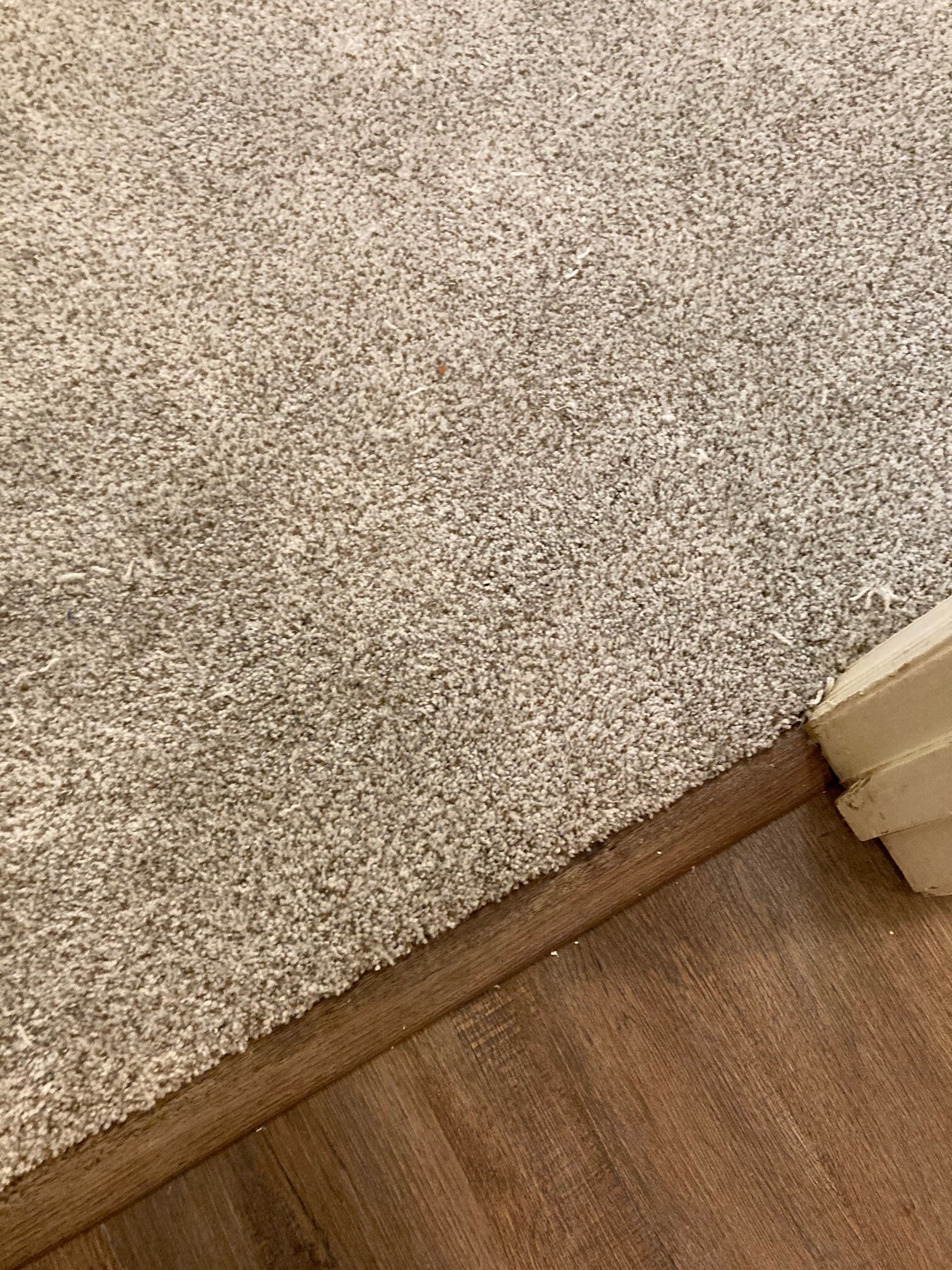 LVP in living areas and carpet in bedrooms - 103 Lisa Ln