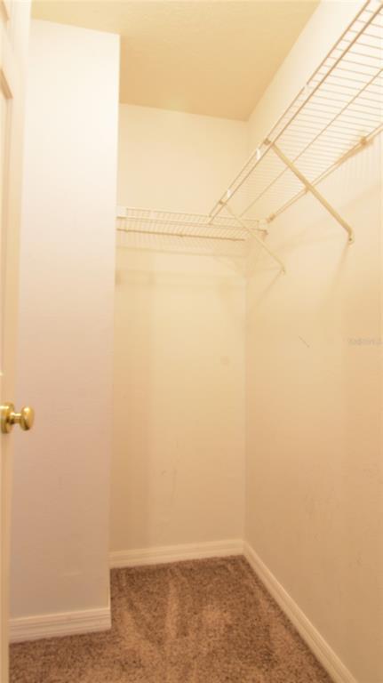 Building Photo - 11012 Black Swan Ct