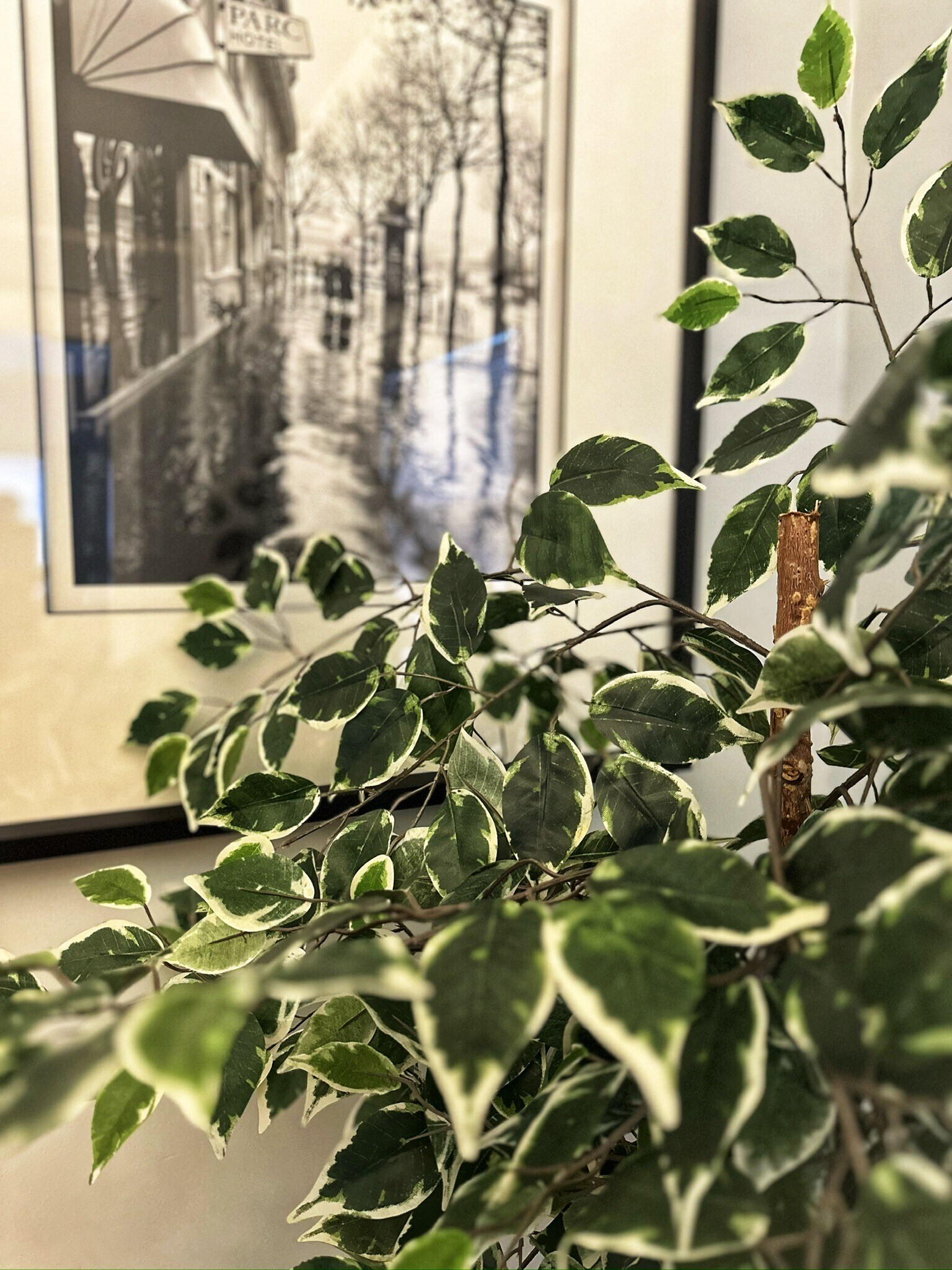 Building Photo - 807 W Vine St