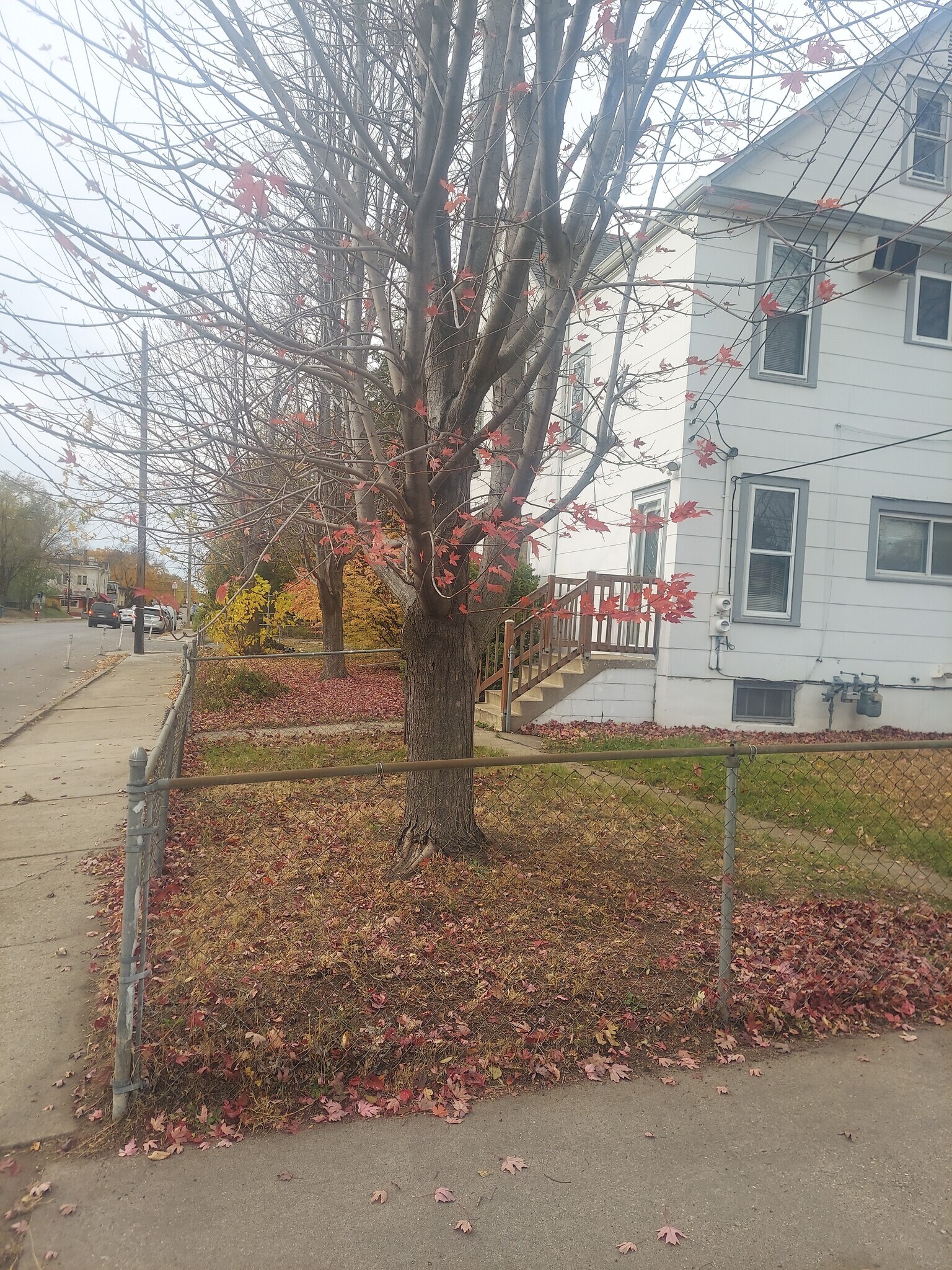 Building Photo - 3449 Longfellow Ave