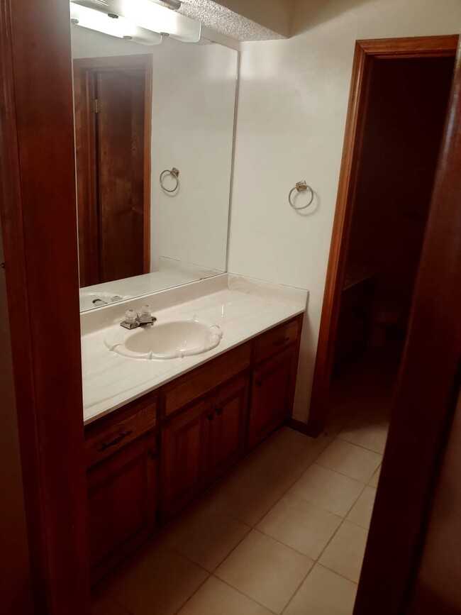 Master bathroom - 1718 Lionsgate Cir