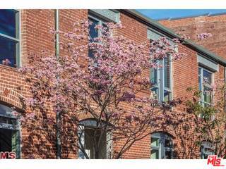 Building Photo - 527 Molino St