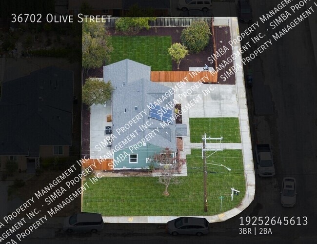 Building Photo - 36702 Olive St