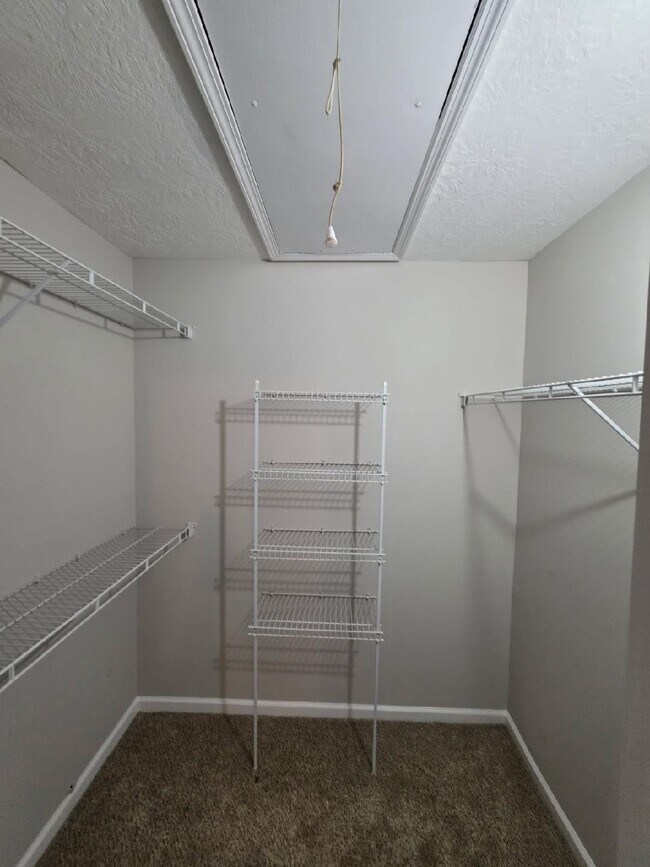 Building Photo - 408 New Haven Ct