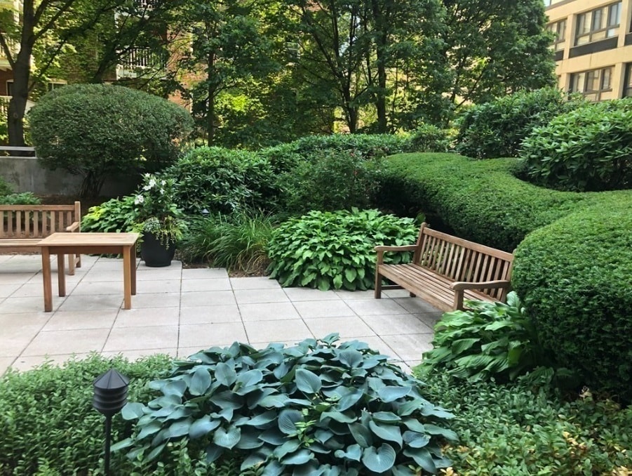 Building Photo - 931 Massachusetts Ave