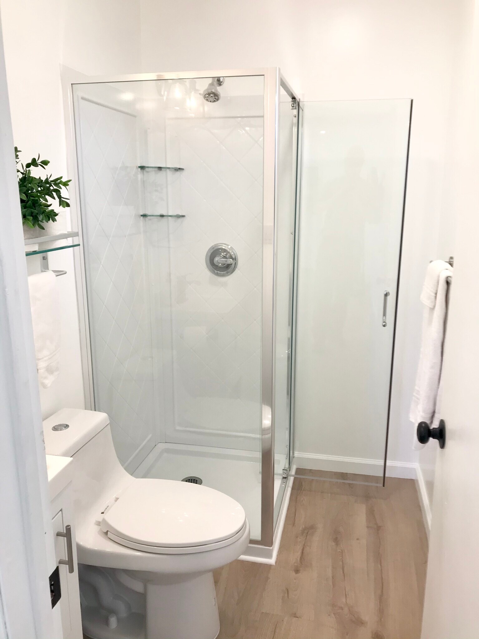 Building Photo - 33 Ortega Ct