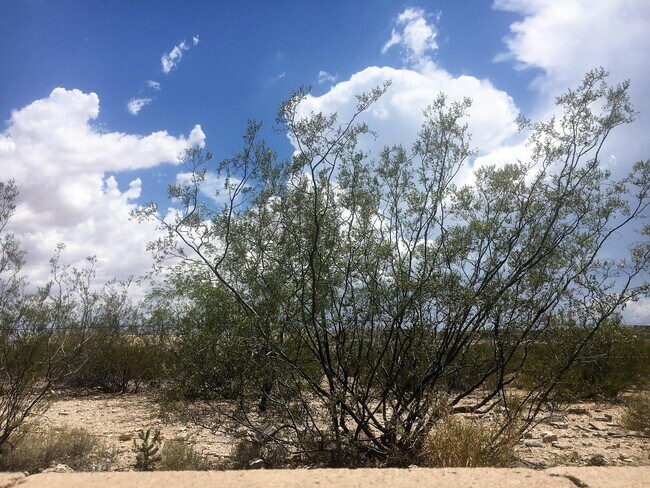 Building Photo - 5210 E Desert Straw Ln