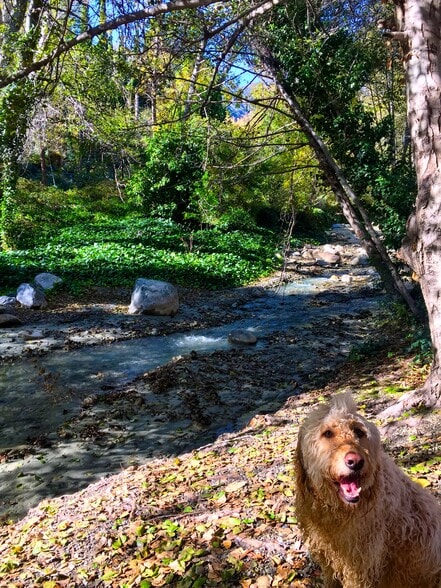 Building Photo - 13992 Irving Ln