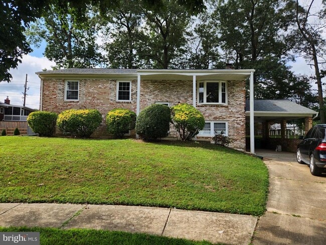 Building Photo - 2703 Bey Ct