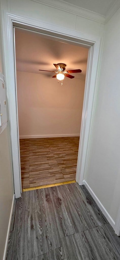 Building Photo - 125 N Patrick St