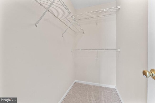 Building Photo - 209 Ilona Ct