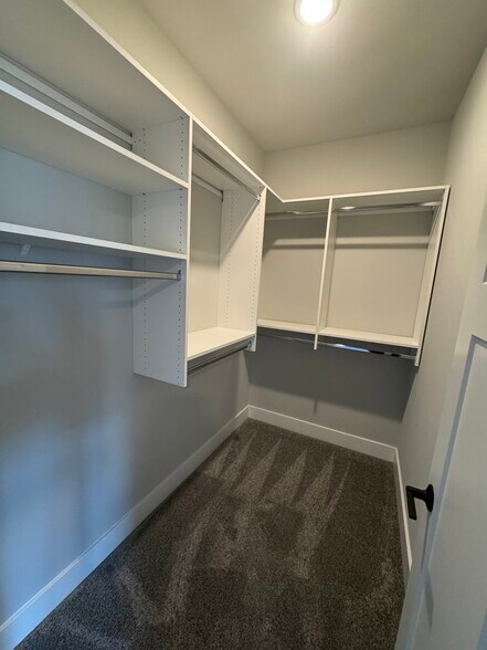 Building Photo - 2798 Endive Dr