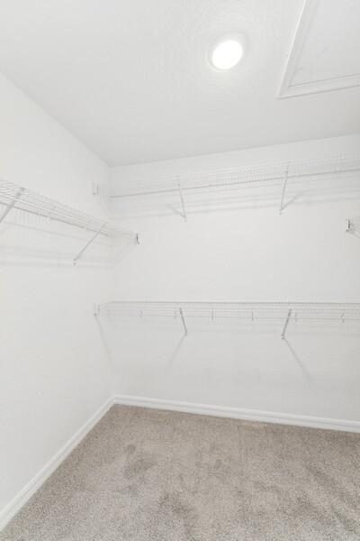 Building Photo - 5085 Armina Pl