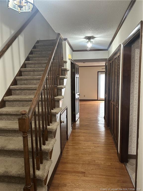 Building Photo - 3702 Cliffridge Dr