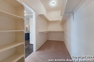 Building Photo - 723 Sendera St