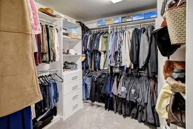 Building Photo - 210 Cold Spg Lp