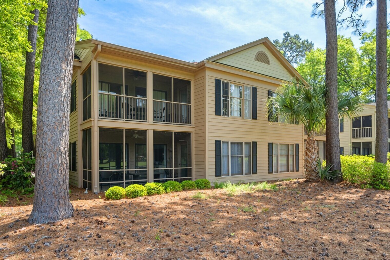 Building Photo - CP6FWV Georgetown
