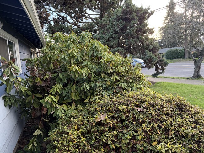 Building Photo - 3525 River Rd